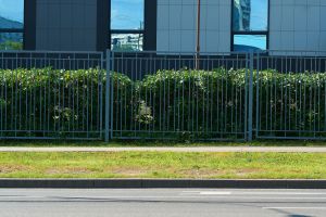 shadow of trees on fence