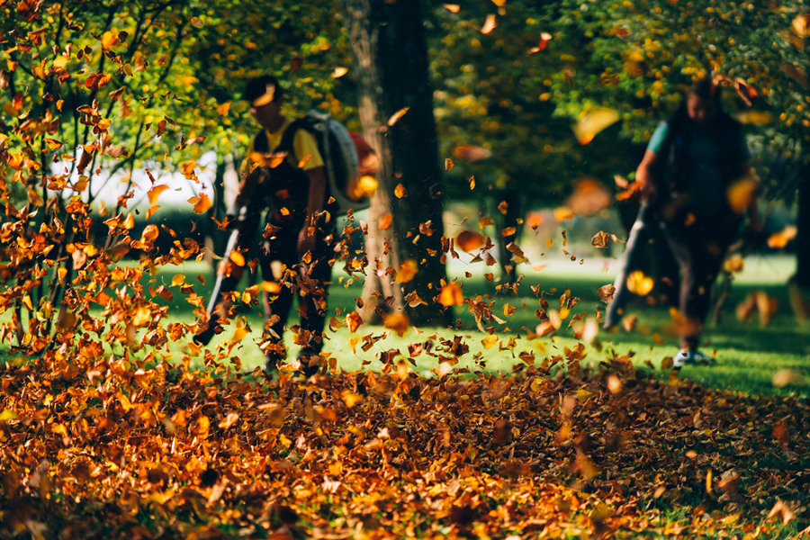 men blowing leaves