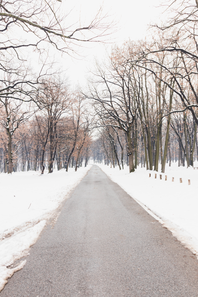 snow on road