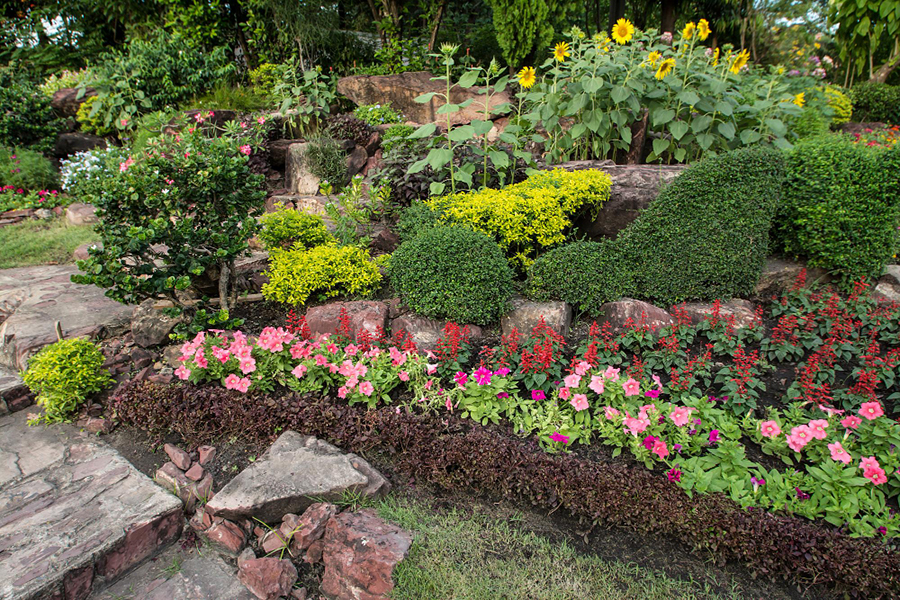 Flower Bed