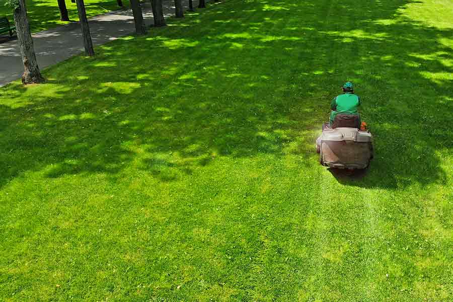 man mowing the lawn