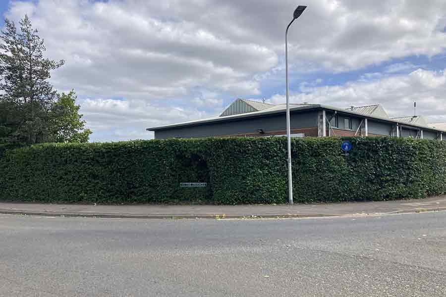 cut hedge on an industrial park