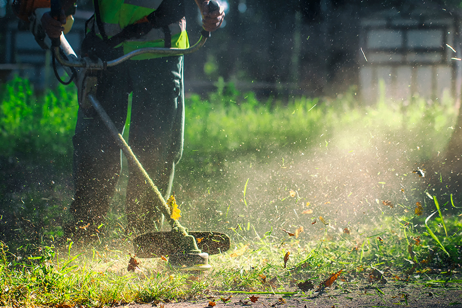 Man strimming the lawn