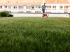 man mowing a lawn