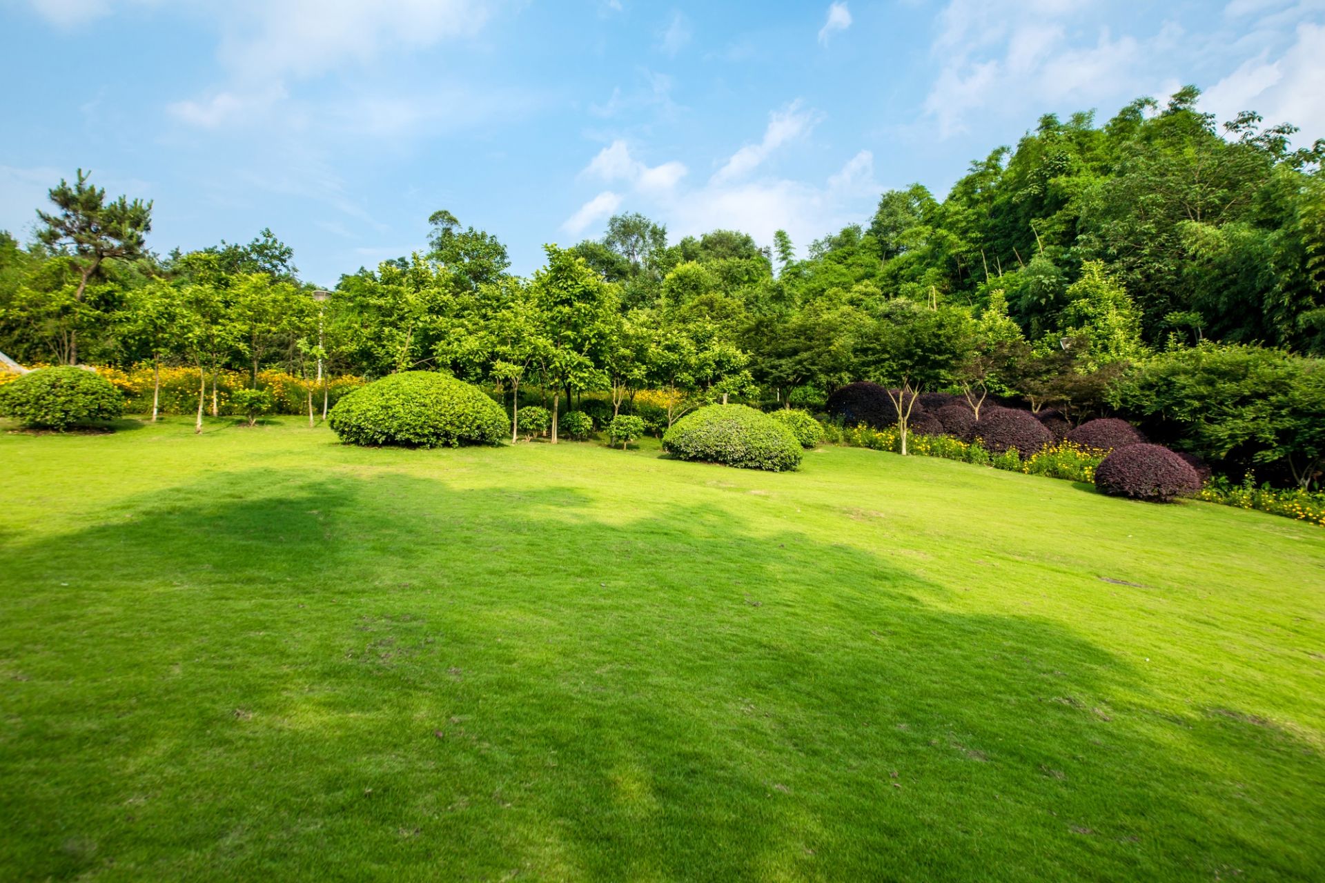 Commercial Garden Maintenance Newbury Berkshire by Brabazons