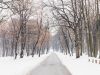 snow gritter on country road