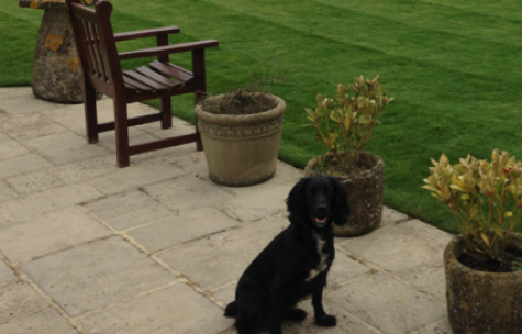 Installation of Patios & Ponds in Berkshire