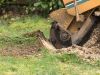 Stump Grinding