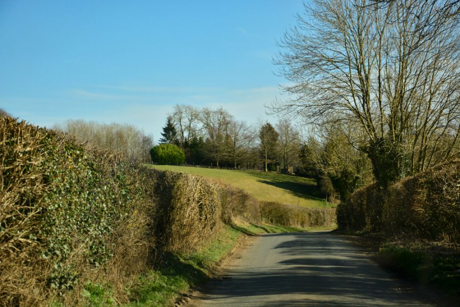winding country road
